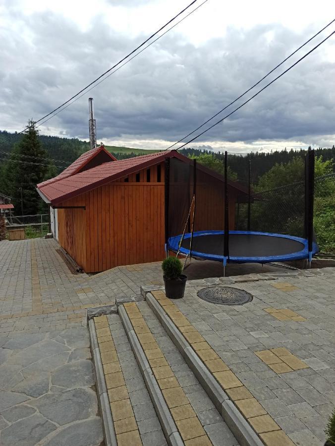 Brand New 2020 Specious Apartment Druzi 2 Palyanytsya Extérieur photo