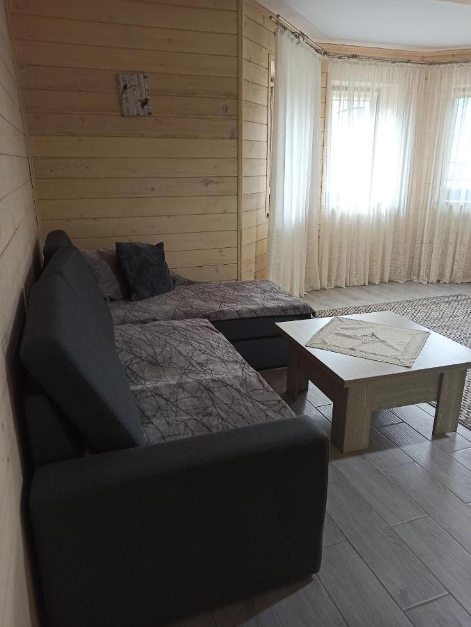 Brand New 2020 Specious Apartment Druzi 2 Palyanytsya Extérieur photo