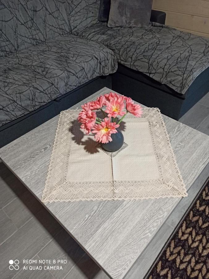 Brand New 2020 Specious Apartment Druzi 2 Palyanytsya Extérieur photo