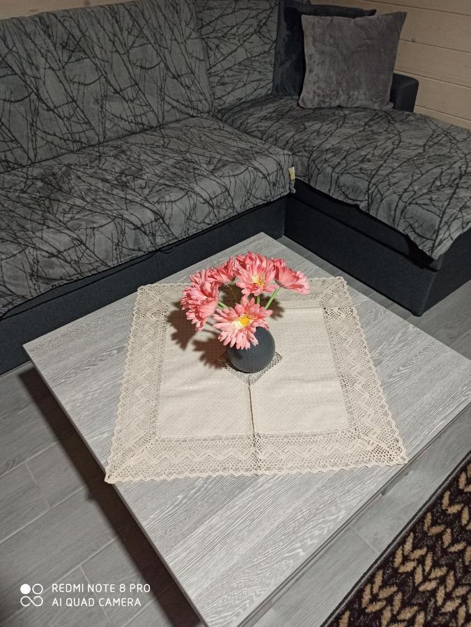 Brand New 2020 Specious Apartment Druzi 2 Palyanytsya Extérieur photo
